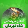 خرید اسکین پادشاه قهرمان کلش اف کلنز